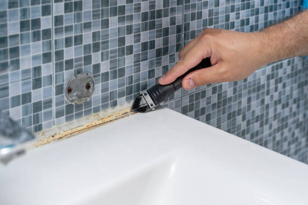 Best Same-Day Mold Removal  in Head Of The Harbor, NY